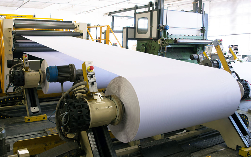 Paper & Pulp